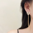 Korean Dongda Long Fringe Earrings Womens Summer New Flower Earrings Cold Style Refined Rhinestone Ear Ringspicture11