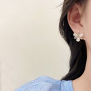 Korean Dongda Long Fringe Earrings Womens Summer New Flower Earrings Cold Style Refined Rhinestone Ear Ringspicture13