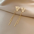 Korean Dongda Long Fringe Earrings Womens Summer New Flower Earrings Cold Style Refined Rhinestone Ear Ringspicture16