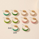 Amazon Personality 5 Pairs Drip Glazed Basic Ring Earrings Europe and America Cross Border Ins Exaggerated Earrings Suitpicture9