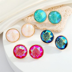 Shuo Europe and America Cross Border Ornament Bohemian Unique round Resin Stud Earrings Natural Stone Imitated Geometric Earrings