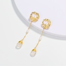 Fashion jewelry tassel earrings specialshaped natural pearl natural stone earringspicture14