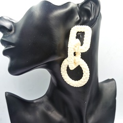 personality big hoop earrings acrylic frosted earrings ear jewelry
