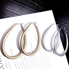 Japanese and Korean New All-Match Slim Face Earrings Women's Personal Influencer Trendy Ring Long Earrings Simple and Elegant Earrings