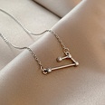 European and American fashion ins simple pendant trend diamond twelve constellation titanium steel necklace personality trend clavicle chainpicture29