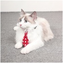 new pet collar bow tie cats and dogs universal fashion accessories small accessories adjustable cute pet tiepicture13