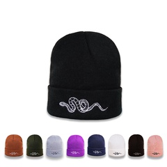 Korean fashion personality wild embroidery snake knitted hat new cold-proof warm hat Japanese casual woolen hat