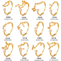 Corée simple douze constellation anneau créatif mode cuivre incrusté zircon anneau ouvert cadeau d'anniversaire