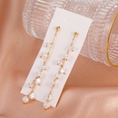 Koreanische neue Perlenohrringe einfache lange Quastenohrringepicture9
