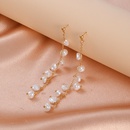 Koreanische neue Perlenohrringe einfache lange Quastenohrringepicture10