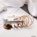 2021 nouveau cratif Simple mode temprament bijoux papillon boucles d39oreilles imprim lopard perles boucles d39oreilles ensemble de 5 picespicture14