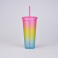 2022 neue Regenbogen farbe ins Wind Doppels chicht Kunststoff Stroh Tasse grenz berschreitende gefrostete Hand Tasse Outdoor Sport Wasser Tassepicture20