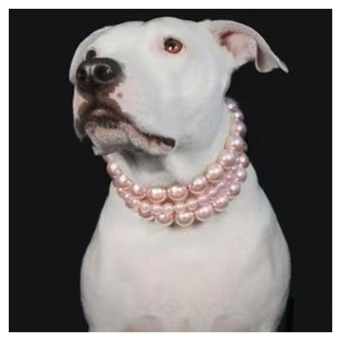 Chanel Style Pearl Fashion Pet Collar/Necklace