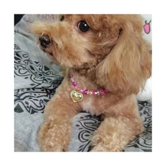 European and American pet accessories personality geometric pearl dog chain pet collar wholesale
