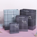 Small Plaid Ins Style Business Plaid Gift Bag Packaging Bag Simple Handbag Clothing Store Paper Bag in Stock Wholesalepicture12
