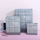 Small Plaid Ins Style Business Plaid Gift Bag Packaging Bag Simple Handbag Clothing Store Paper Bag in Stock Wholesalepicture13