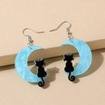 European and American simple acrylic moon cat earrings wholesalepicture4