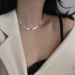 INS Cold Style European and American 925 Sterling Silver Snake Bones Chain Metal Necklace Trendy Female Internet Celebrity French Blade Necklace Clavicle Chain
