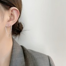 S925 Sterling Silber Doppelkette Quaste Ohrringe koreanische Mode Persnlichkeit lange Ohrringepicture10
