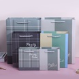 Small Plaid Ins Style Business Plaid Gift Bag Packaging Bag Simple Handbag Clothing Store Paper Bag in Stock Wholesalepicture16