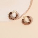 Retro temperament autumn and winter new exaggerated leopard print plush earringspicture9