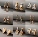 2021 European and American simple exaggerated geometric alloy earringspicture35