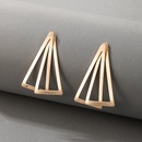 2021 European and American simple exaggerated geometric alloy earringspicture39