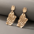 2021 European and American simple exaggerated geometric alloy earringspicture40