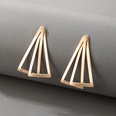 2021 European and American simple exaggerated geometric alloy earringspicture46