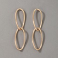 2021 European and American simple exaggerated geometric alloy earringspicture49