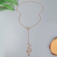 Europische und amerikanische einfache Schlangenkette Halskette kreativer Sternzeichen Anhnger Schmuckpicture13