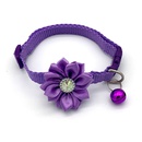 Exclusive for CrossBorder Pet Bell Flower Collar Dog Collar Collar Cat Diamond Collar Pet Supplies Wholesalepicture9