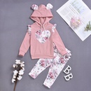 Childrens clothing hooded sweater longsleeved suit twopiece suitwholesalepicture7