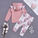 Childrens clothing hooded sweater longsleeved suit twopiece suitwholesalepicture6