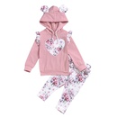 Childrens clothing hooded sweater longsleeved suit twopiece suitwholesalepicture10