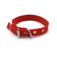 dog collar cat collar small and mediumsized dog antilost collar pet supplies wholesalepicture13