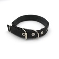 dog collar cat collar small and mediumsized dog antilost collar pet supplies wholesalepicture23