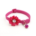 Exclusive for CrossBorder Pet Bell Flower Collar Dog Collar Collar Cat Diamond Collar Pet Supplies Wholesalepicture18