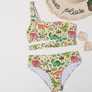 new style European and American oneshoulder highwaist multicolor printing split bikini swimsuitpicture6