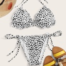 2022 New European and American Bikini Split Swimsuit DoubleSided Leopard Snakeskin Printed Sexy Bikini Swimwear Wholesalepicture18