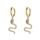 jewelry microinlaid zircon serpentine earrings colored diamond earrings jewelrypicture14