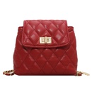 Western style chain bag 2021 new winter rhombus one shoulder small square bag wholesalepicture12