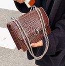 High Quality Small Bag Womens 2021 New Crocodile Pattern Chain Shoulder Bag Autumn Niche Design Net Red Messenger Bagpicture8