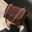 High Quality Small Bag Womens 2021 New Crocodile Pattern Chain Shoulder Bag Autumn Niche Design Net Red Messenger Bagpicture10
