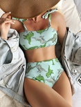 2021 nouveau Dinosaure Imprim de Split Taille Haute DeuxPice Bikini AliExpress Amazon Chaude Sexy Maillot de Bainpicture17