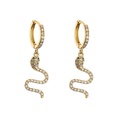 jewelry microinlaid zircon serpentine earrings colored diamond earrings jewelrypicture18
