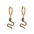 jewelry microinlaid zircon serpentine earrings colored diamond earrings jewelrypicture19