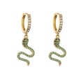 jewelry microinlaid zircon serpentine earrings colored diamond earrings jewelrypicture20