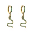 jewelry microinlaid zircon serpentine earrings colored diamond earrings jewelrypicture21
