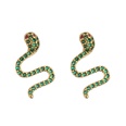 jewelry microinlaid zircon serpentine earrings colored diamond earrings jewelrypicture22